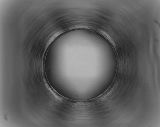 X0000092060898200709121003