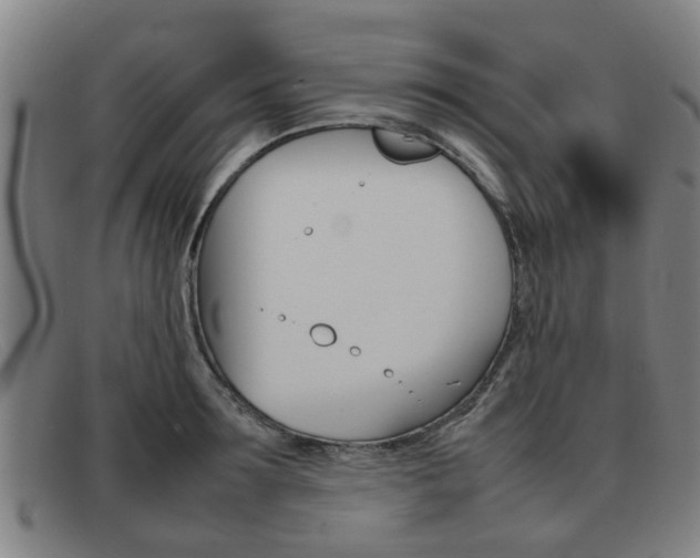 X0000092060899200709121003