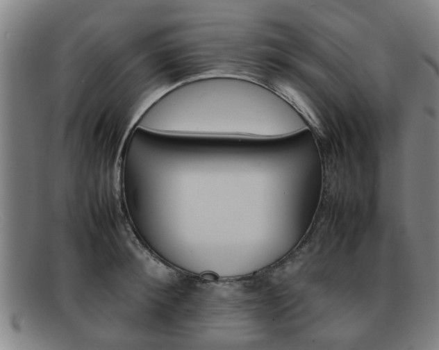 X0000092060900200709121003