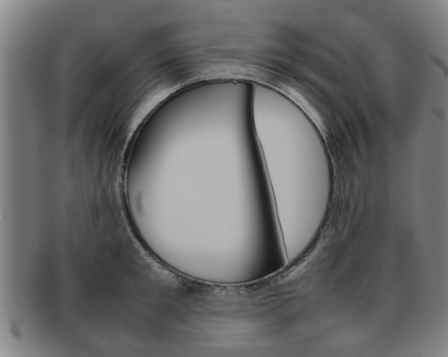 X0000092060901200709121003