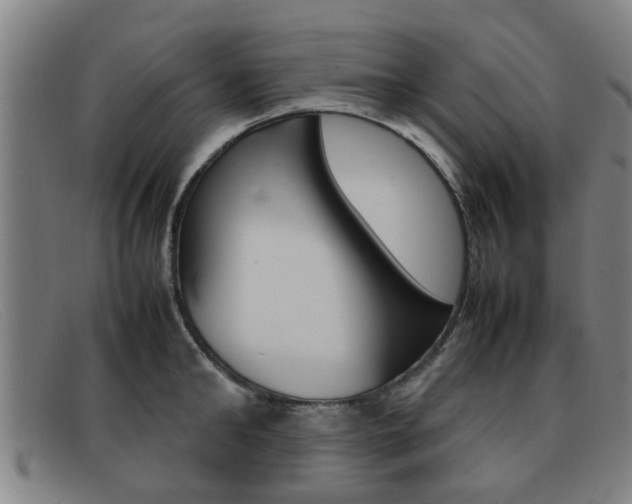 X0000092060902200709121003