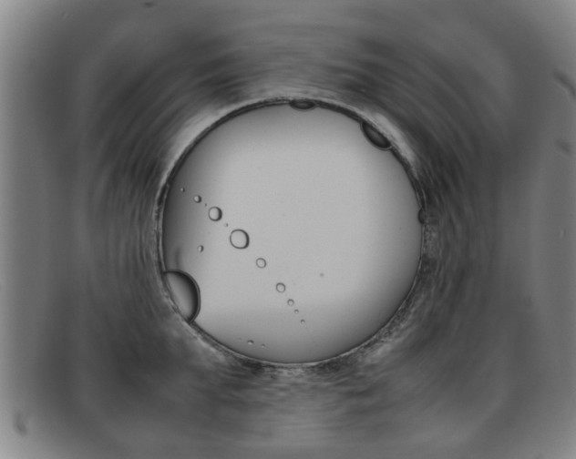 X0000092060903200709121003