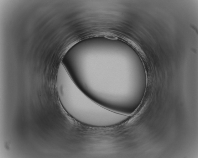X0000092060905200709121003