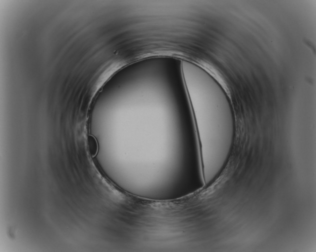 X0000092060906200709121003