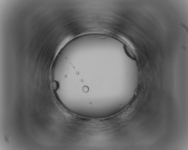 X0000092060907200709121003