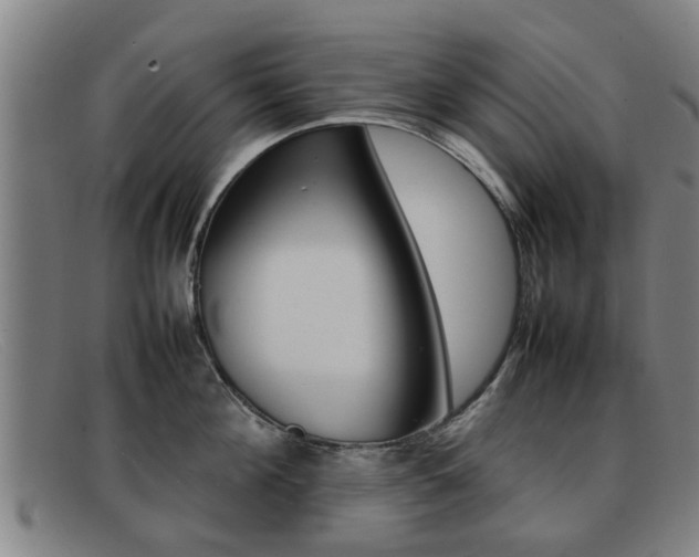 X0000092060908200709121003