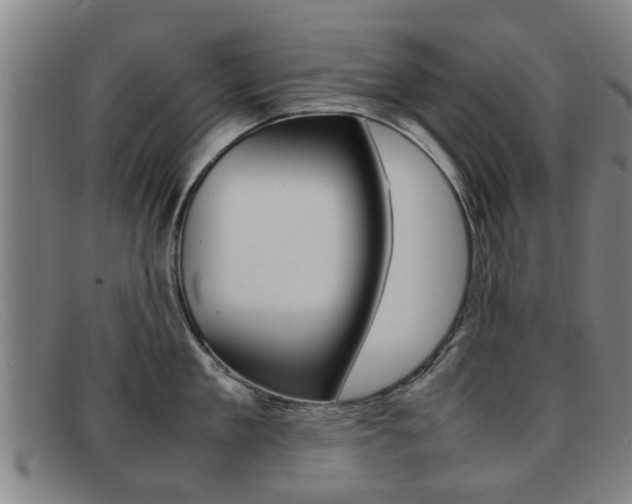 X0000092060909200709121003