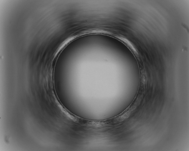 X0000092060910200709121003