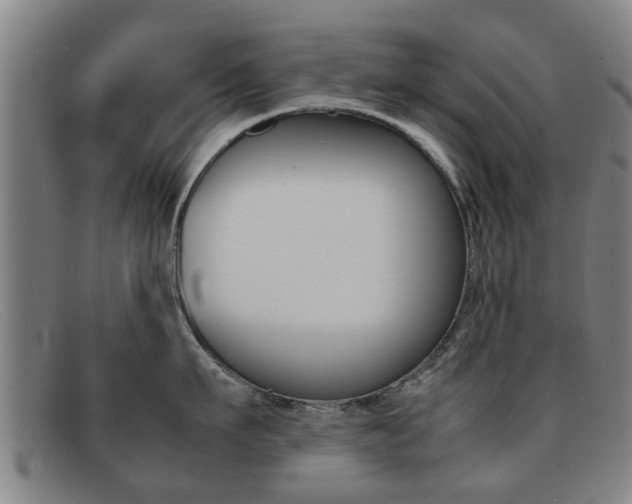 X0000092060911200709121003