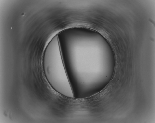 X0000092060912200709121003