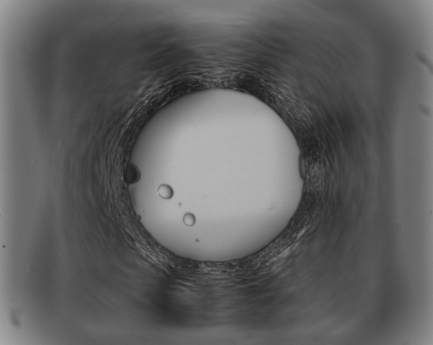 X0000092060913200709121002
