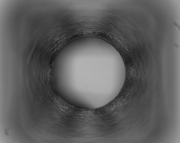 X0000092060914200709121002