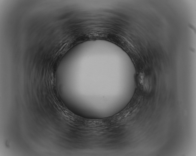 X0000092060915200709121002