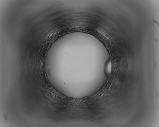X0000092060917200709121002
