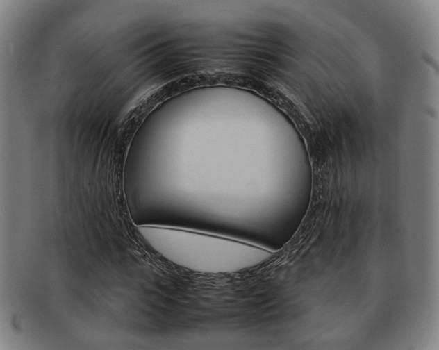 X0000092060919200709121002