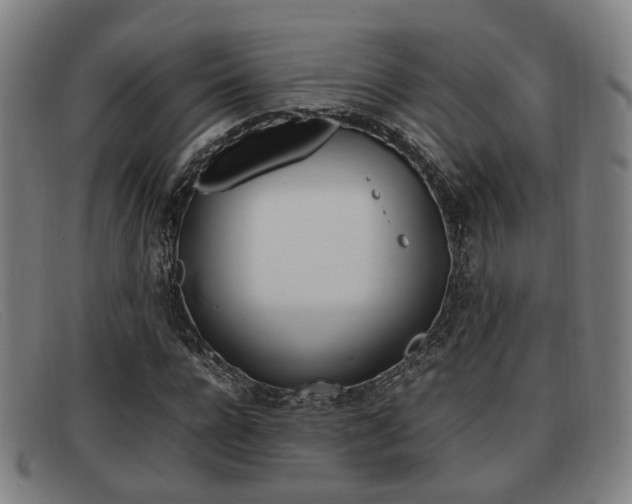 X0000092060920200709121002