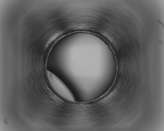 X0000092060922200709121002