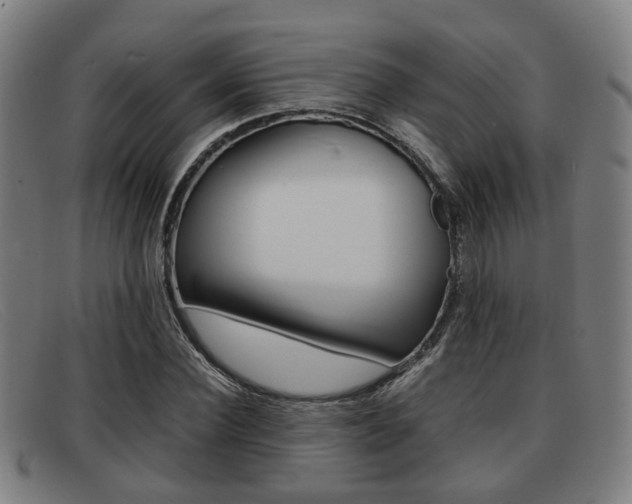 X0000092060924200709121002