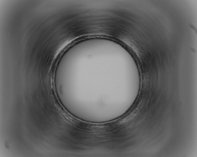 X0000092060925200709121002