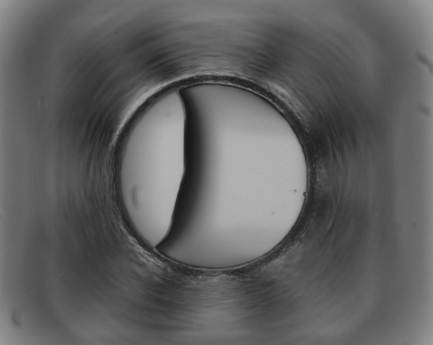 X0000092060926200709121002