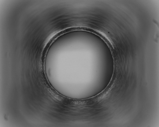 X0000092060927200709121002