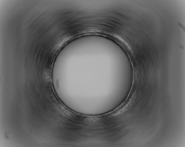 X0000092060929200709121002