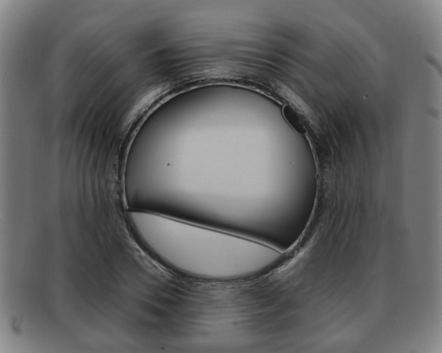 X0000092060930200709121002