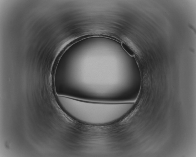 X0000092060932200709121002