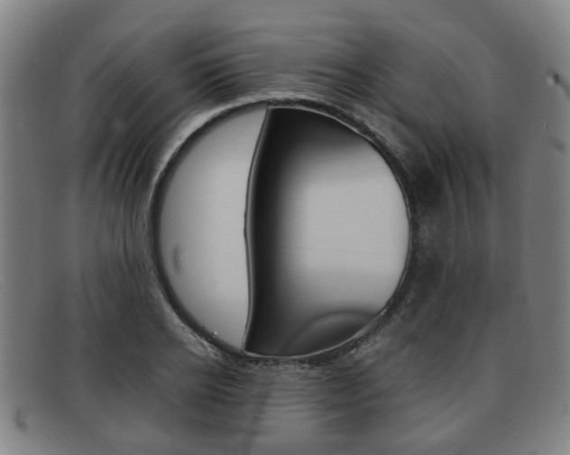 X0000092060934200709121002