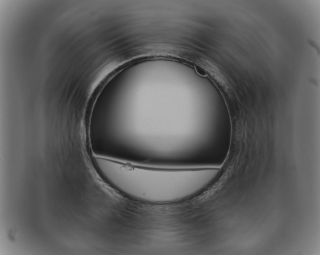 X0000092060936200709121002