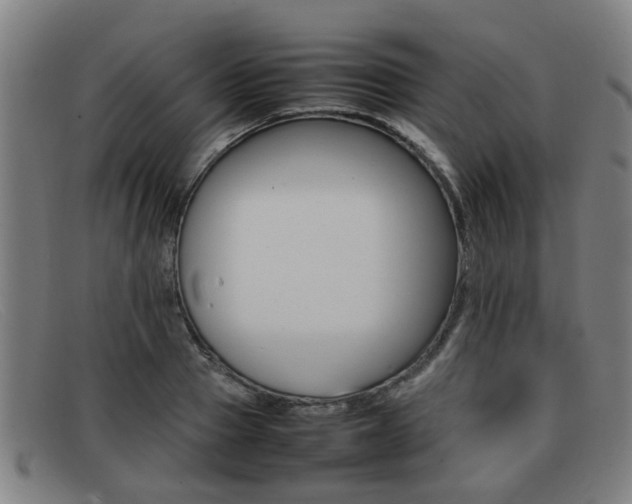 X0000092060937200709121002
