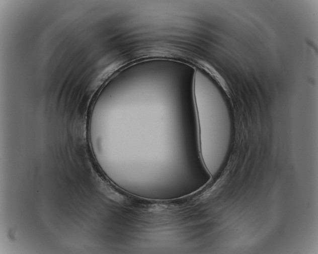 X0000092060938200709121002