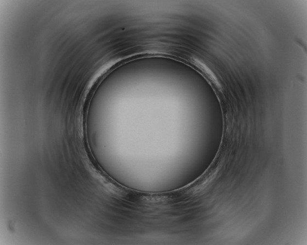 X0000092060939200709121002