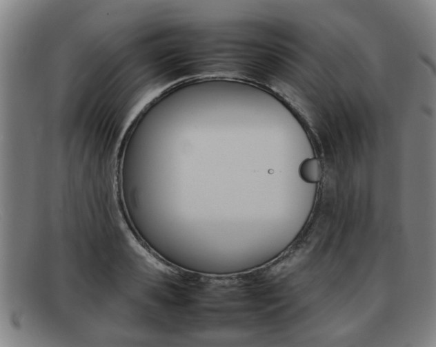 X0000092060941200709121002