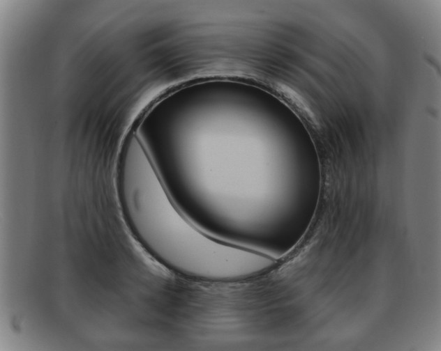 X0000092060942200709121002