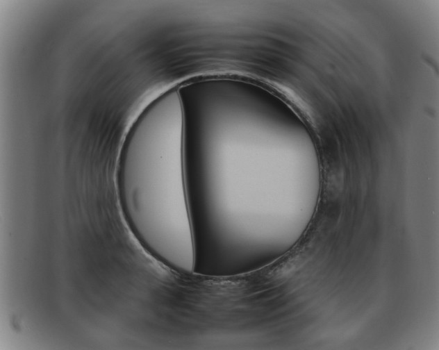 X0000092060943200709121003