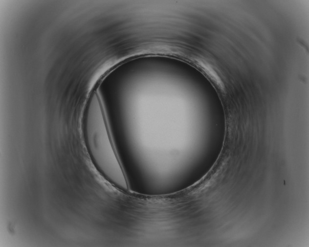 X0000092060944200709121003