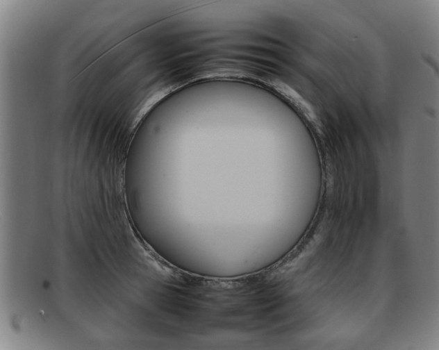 X0000092060945200709121003