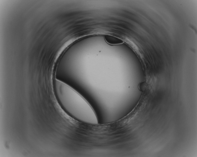 X0000092060947200709121003