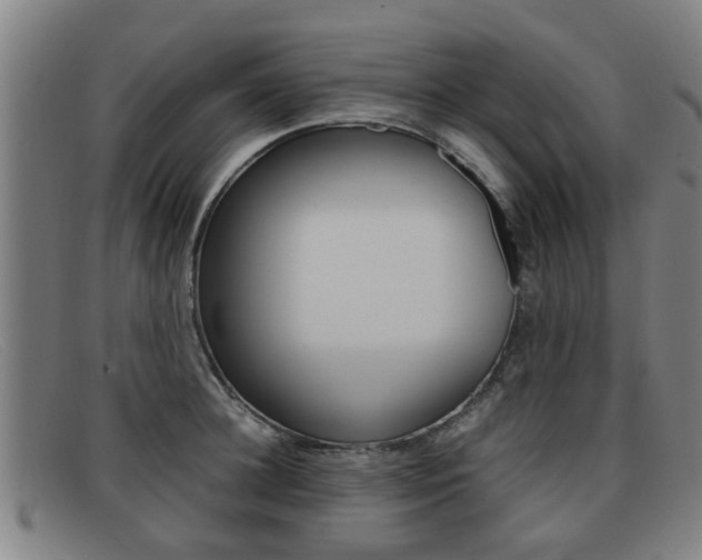 X0000092060948200709121003