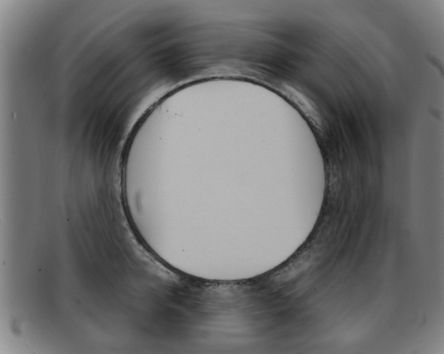 X0000092060950200709121003