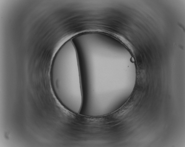 X0000092060951200709121003