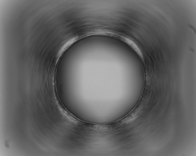 X0000092060954200709121003
