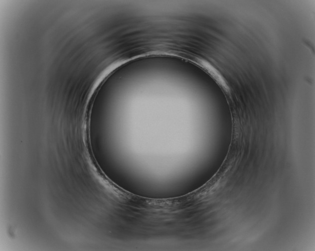 X0000092060955200709121003