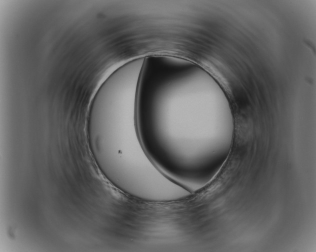 X0000092060956200709121003