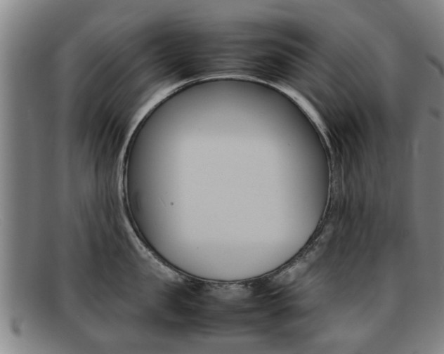 X0000092060957200709121003