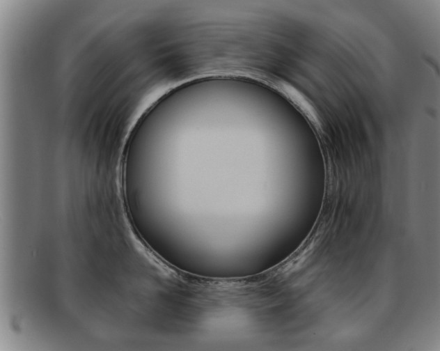 X0000092060958200709121003