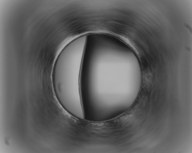 X0000092060959200709121003