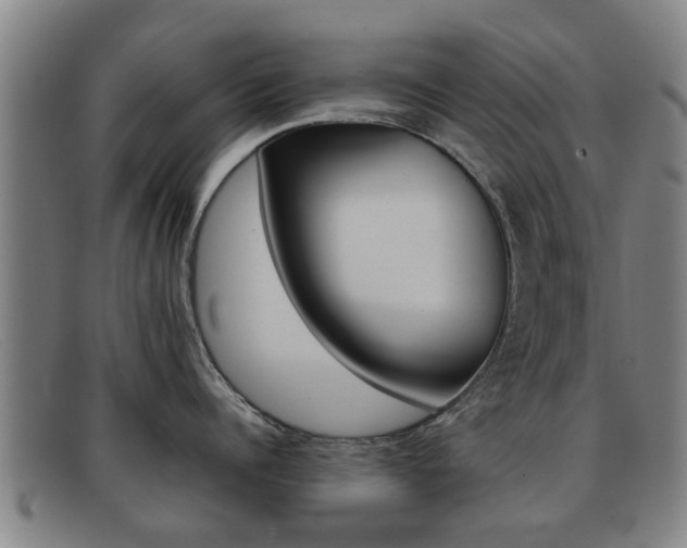 X0000092060960200709121003