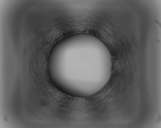 X0000092060961200709121002